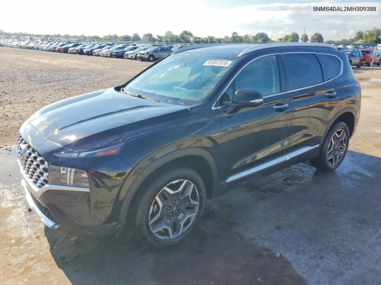 2021 Hyundai Santa Fe Limited VIN: 5NMS4DAL2MH309388 Lot: 61047516