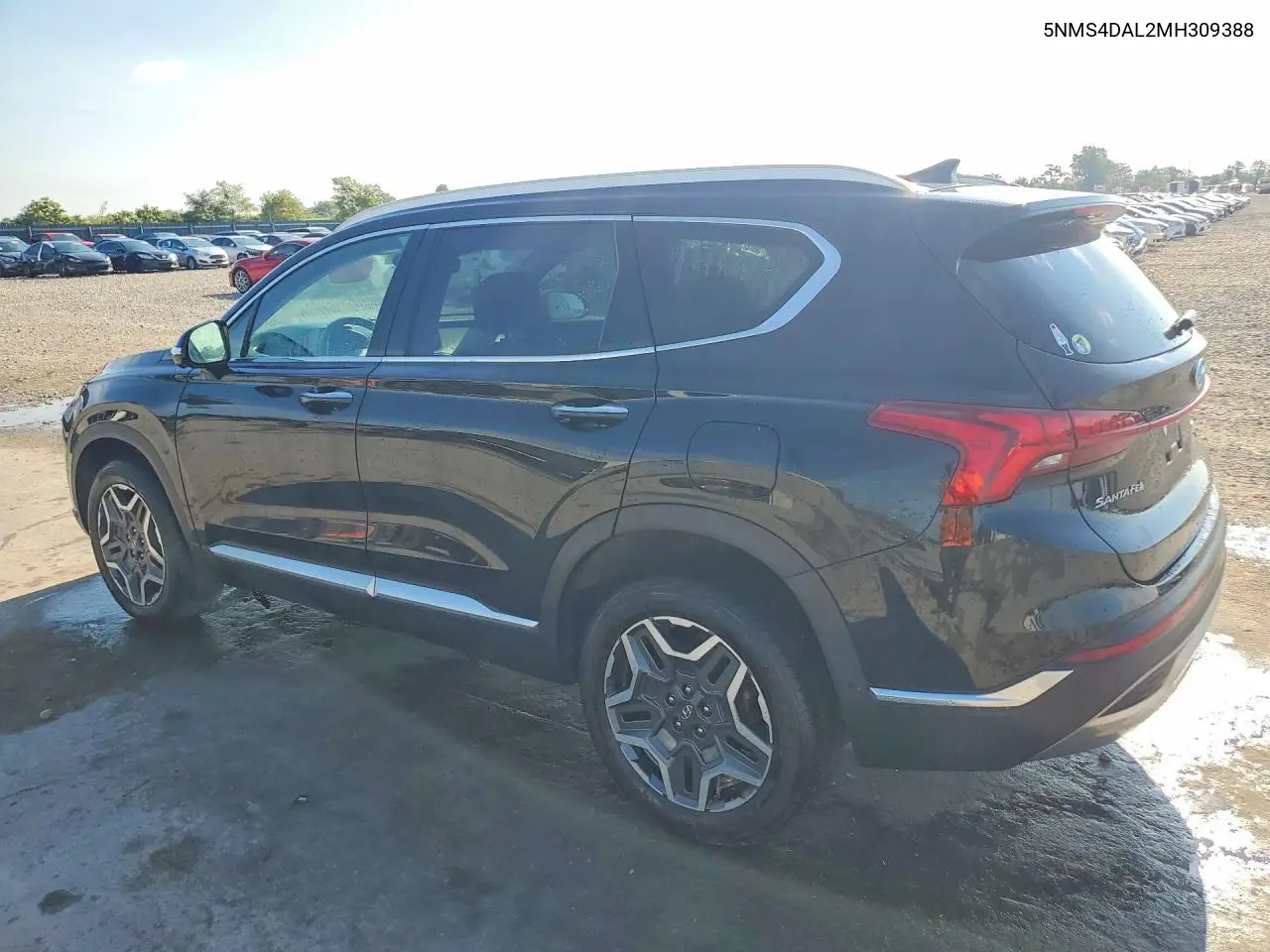 2021 Hyundai Santa Fe Limited VIN: 5NMS4DAL2MH309388 Lot: 61047516