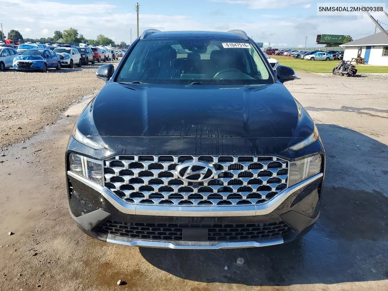 2021 Hyundai Santa Fe Limited VIN: 5NMS4DAL2MH309388 Lot: 61047516