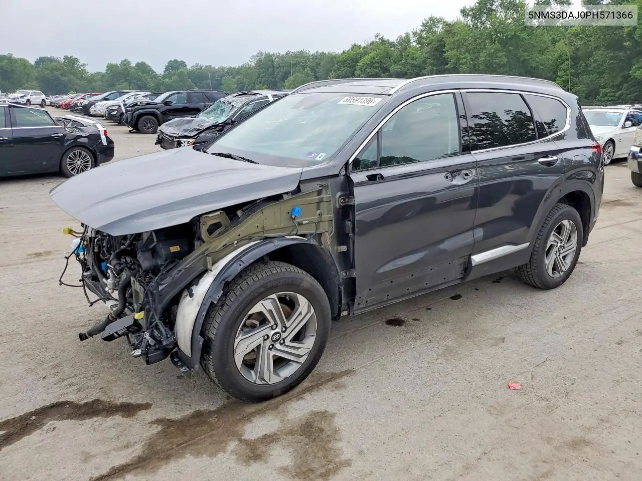 2023 Hyundai Santa Fe Sel Premium VIN: 5NMS3DAJ0PH571366 Lot: 60591396
