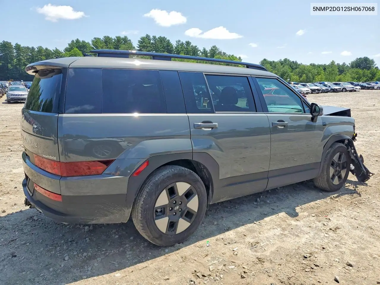 2025 Hyundai Santa Fe Sel VIN: 5NMP2DG12SH067068 Lot: 60488956