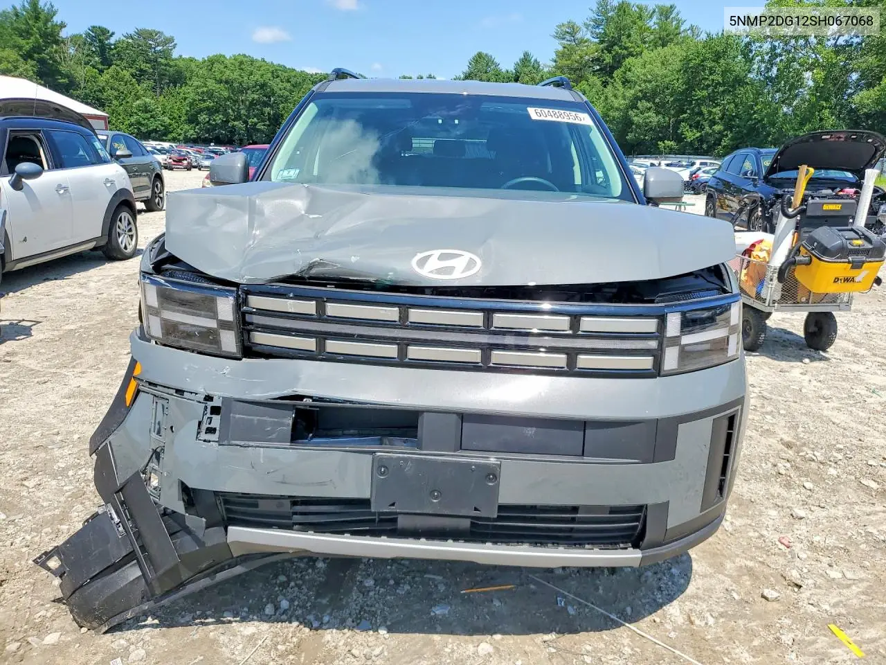 2025 Hyundai Santa Fe Sel VIN: 5NMP2DG12SH067068 Lot: 60488956