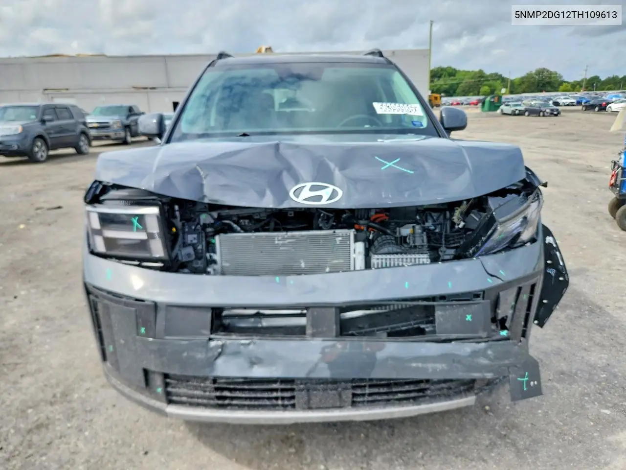 2026 Hyundai Santa Fe Sel VIN: 5NMP2DG12TH109613 Lot: 56396986