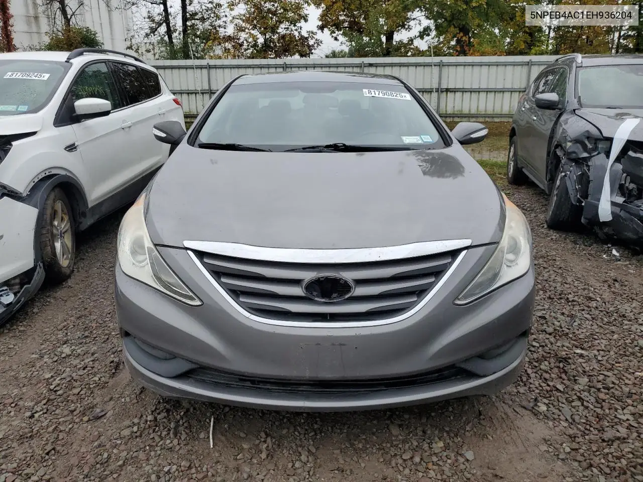 5NPEB4AC1EH936204 2014 Hyundai Sonata Gls