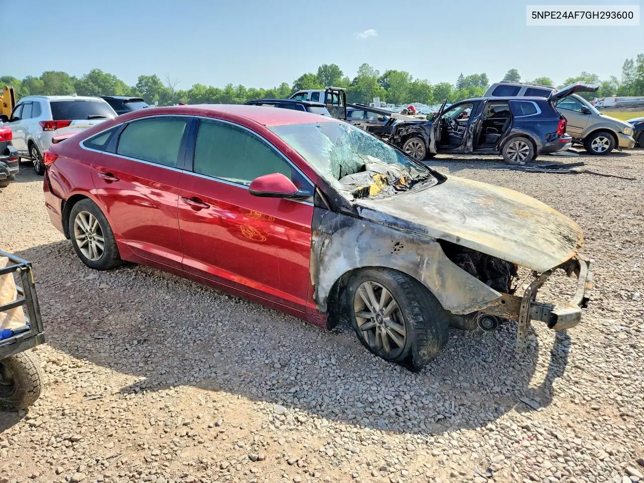 2016 Hyundai Sonata Se VIN: 5NPE24AF7GH293600 Lot: 59611326