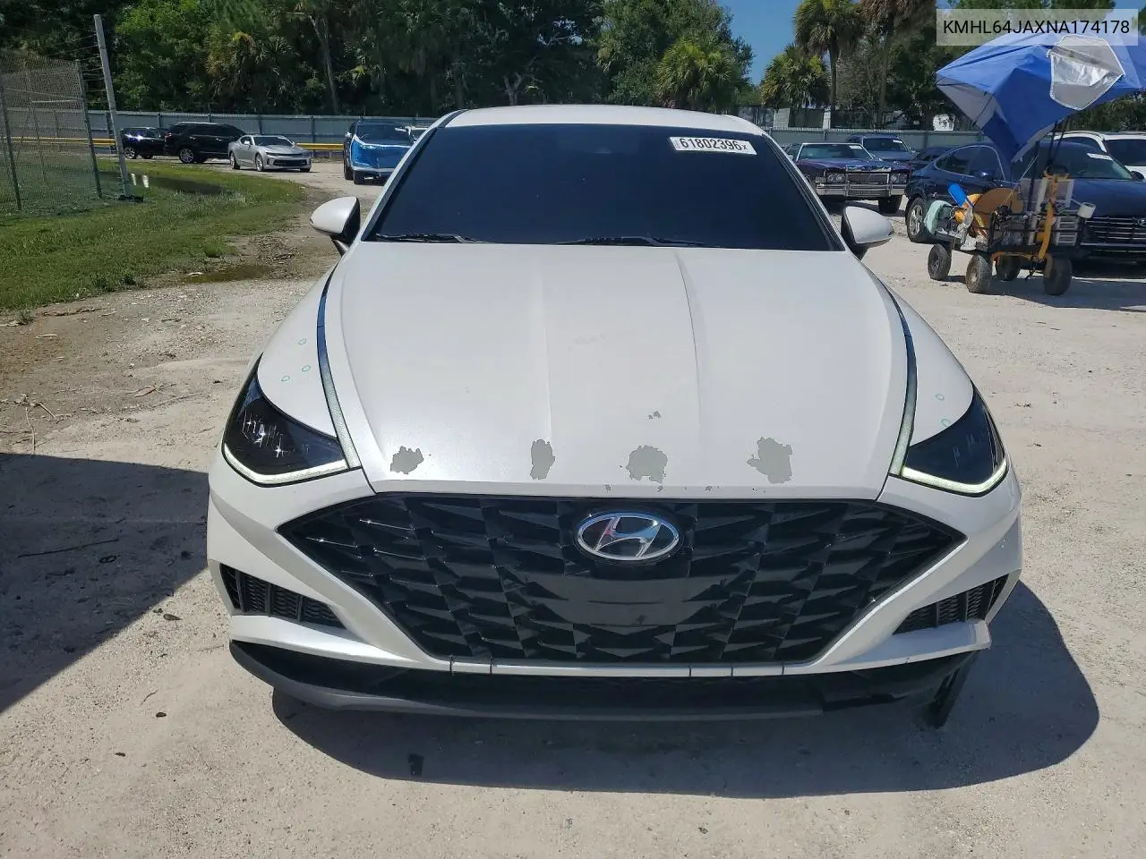 2022 Hyundai Sonata Sel VIN: KMHL64JAXNA174178 Lot: 61802396