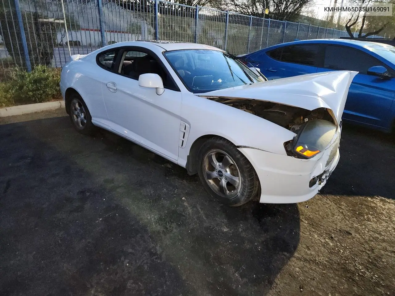 2005 Hyundai Tiburon VIN: KMHHM65D35U169091 Lot: 59200726