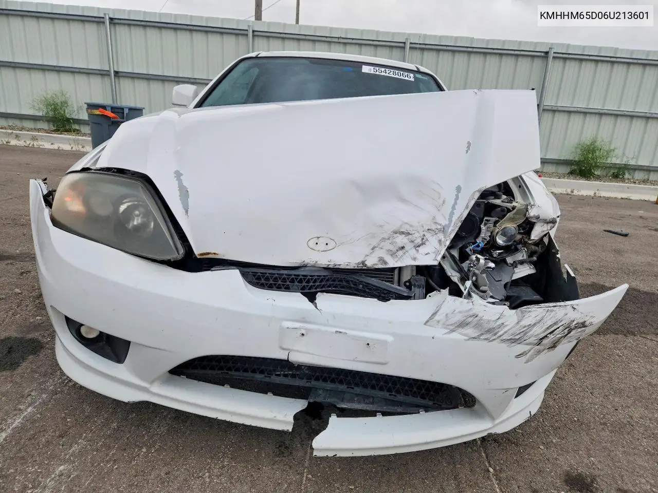 2006 Hyundai Tiburon Gs VIN: KMHHM65D06U213601 Lot: 55428066