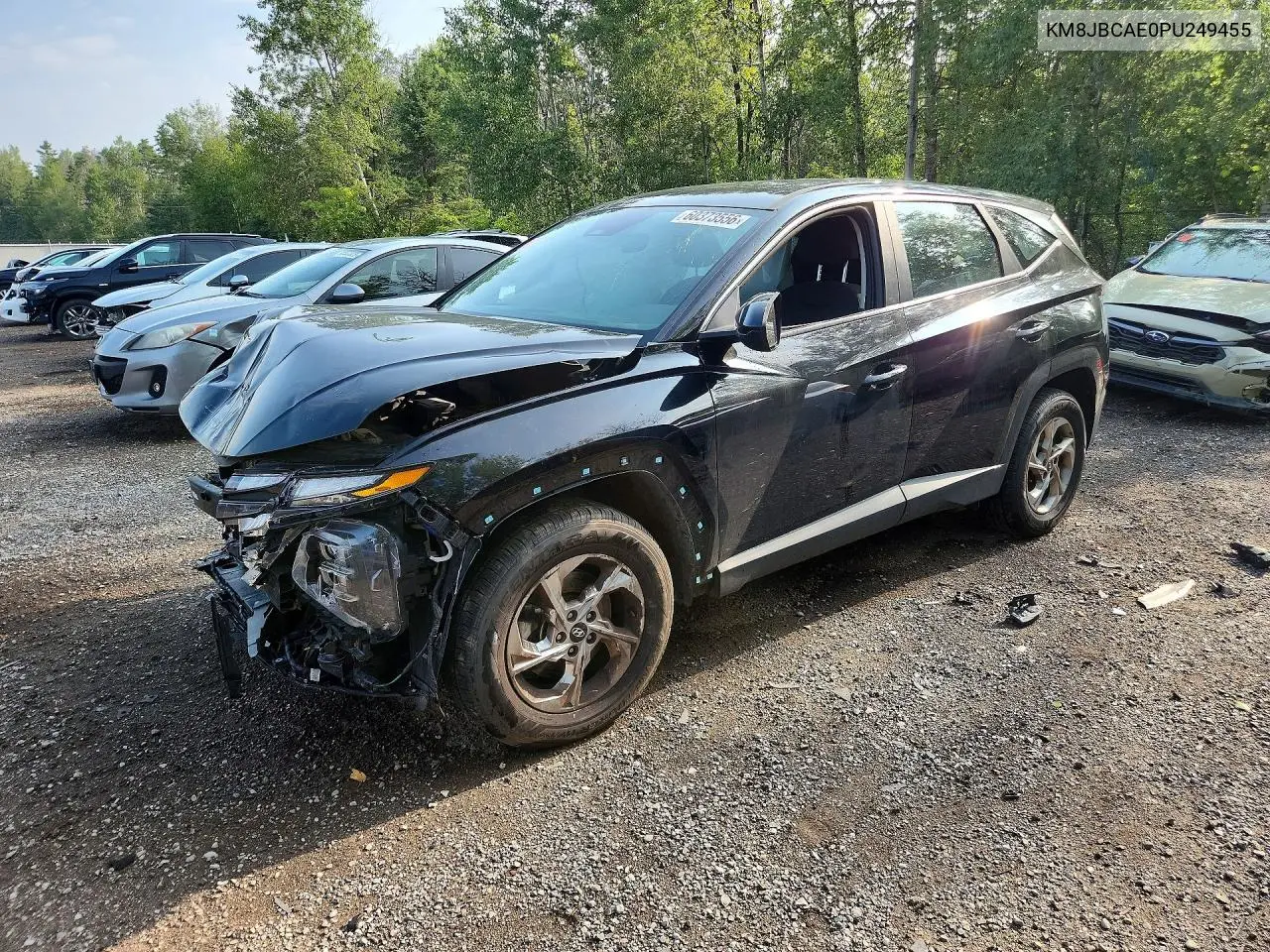 2023 Hyundai Tucson Sel VIN: KM8JBCAE0PU249455 Lot: 60373556