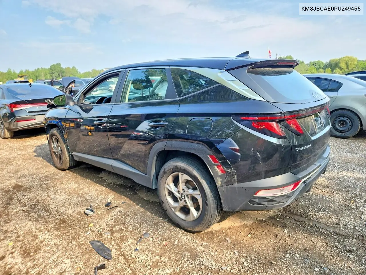 2023 Hyundai Tucson Sel VIN: KM8JBCAE0PU249455 Lot: 60373556