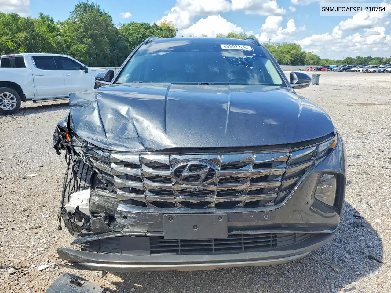 2023 Hyundai Tucson Limited VIN: 5NMJECAE9PH210754 Lot: 60802266