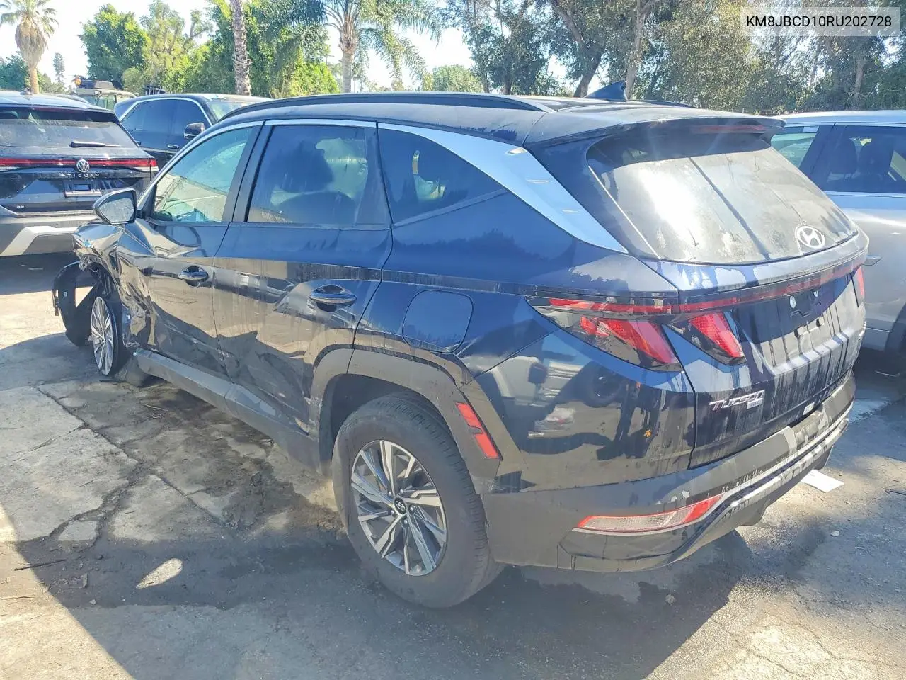 KM8JBCD10RU202728 2024 Hyundai Tucson Hybrid Blue
