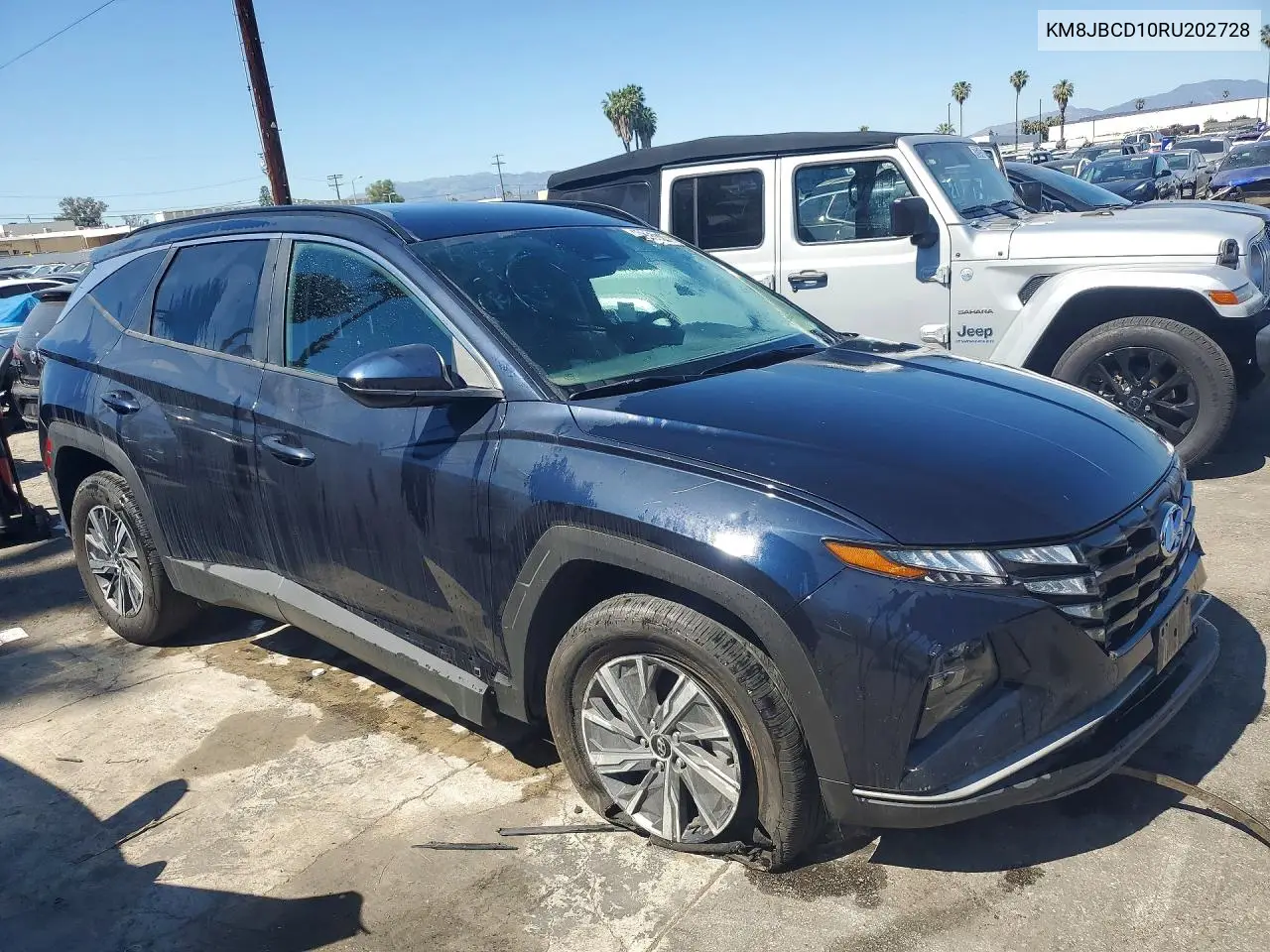 KM8JBCD10RU202728 2024 Hyundai Tucson Hybrid Blue