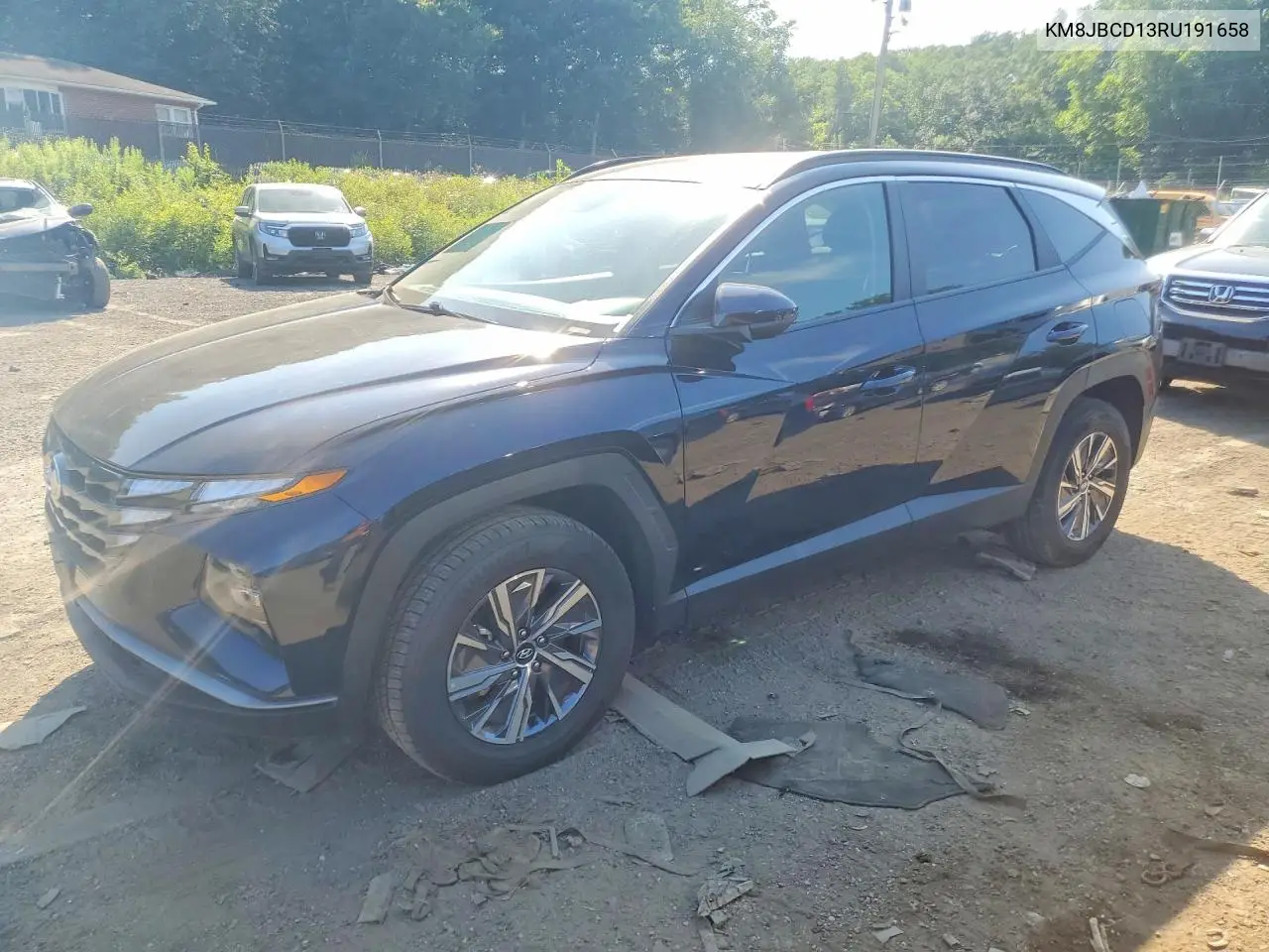 2024 Hyundai Tucson Blue VIN: KM8JBCD13RU191658 Lot: 59875676