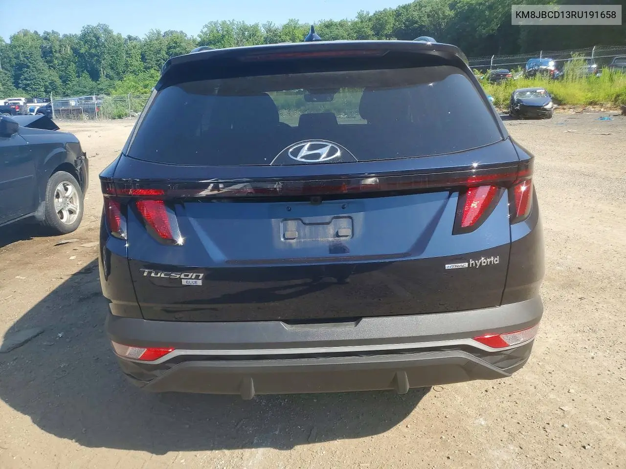 2024 Hyundai Tucson Blue VIN: KM8JBCD13RU191658 Lot: 59875676