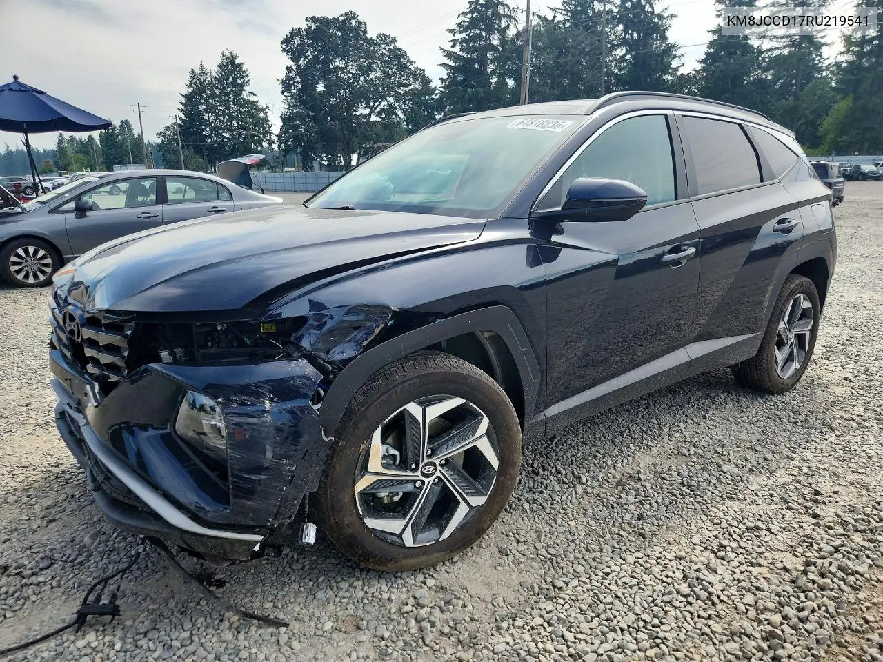 2024 Hyundai Tucson VIN: KM8JCCD17RU219541 Lot: 61818236