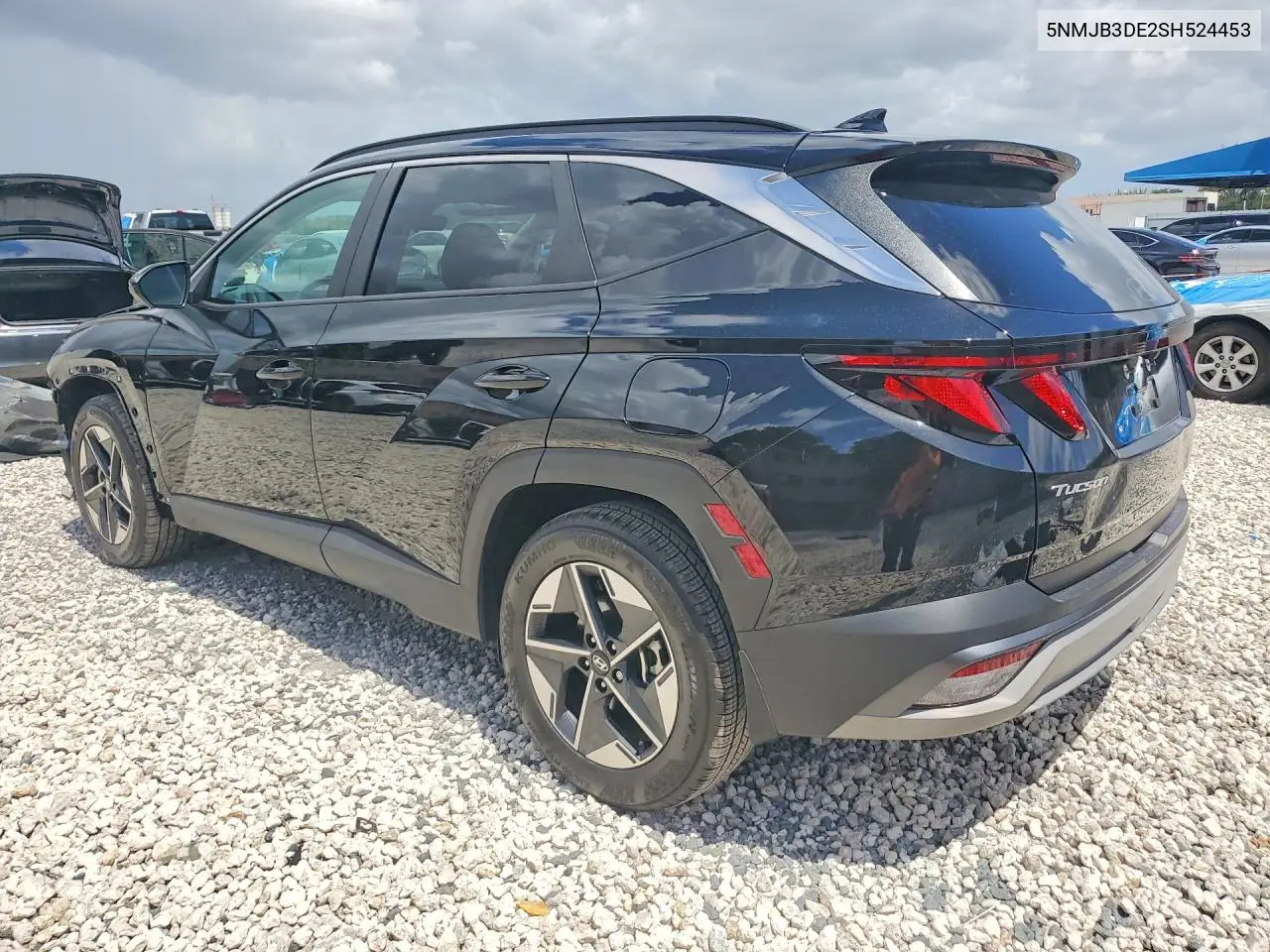 2025 Hyundai Tucson Sel VIN: 5NMJB3DE2SH524453 Lot: 62299766