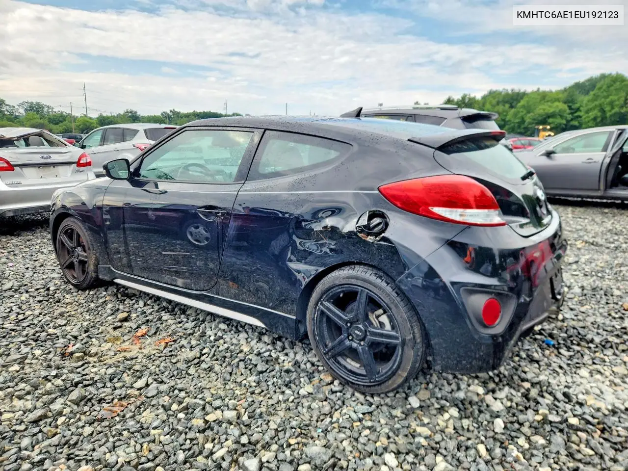 2014 Hyundai Veloster Turbo VIN: KMHTC6AE1EU192123 Lot: 59077916