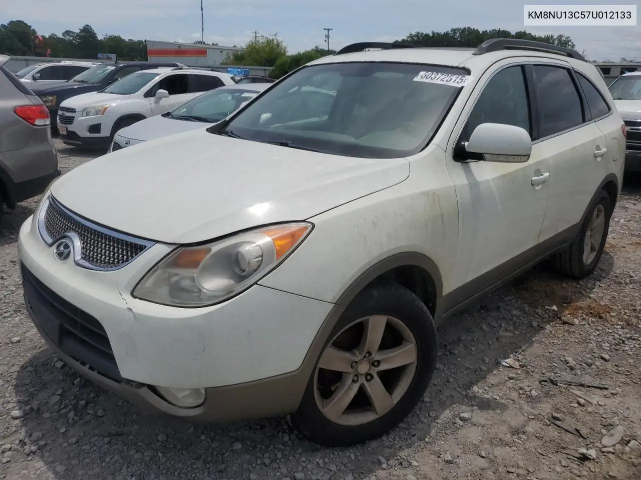 2007 Hyundai Veracruz VIN: KM8NU13C57U012133 Lot: 96804705