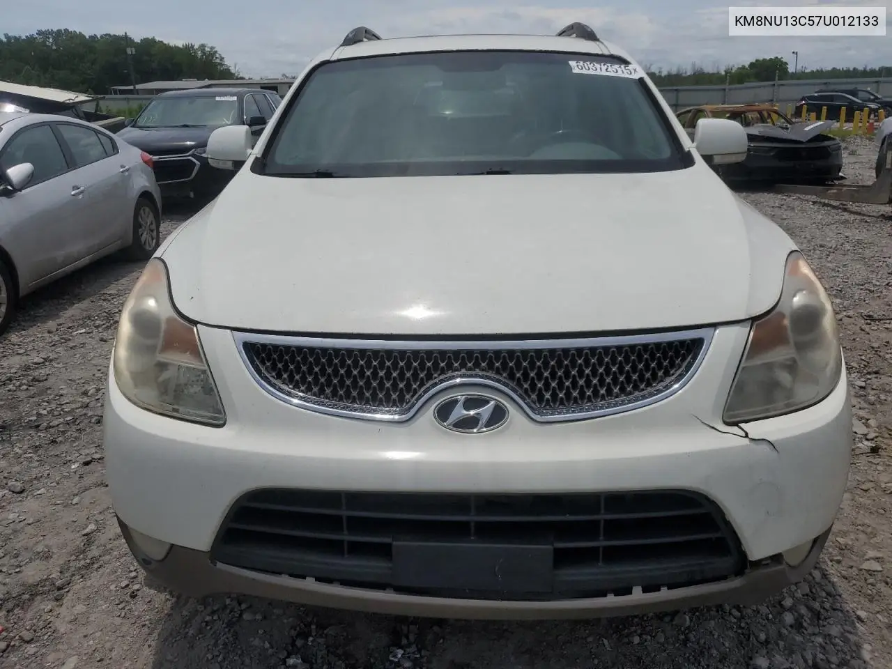 2007 Hyundai Veracruz VIN: KM8NU13C57U012133 Lot: 96804705