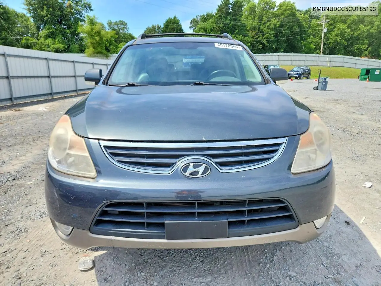 2012 Hyundai Veracruz Limited VIN: KM8NUDCC5CU185193 Lot: 60178066