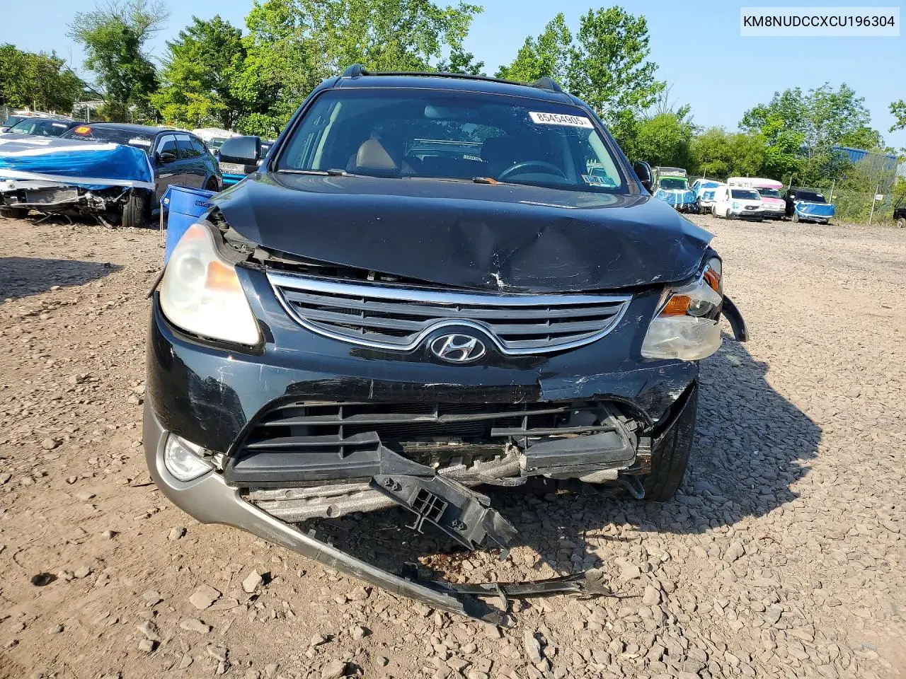 2012 Hyundai Veracruz Limited VIN: KM8NUDCCXCU196304 Lot: 85454905