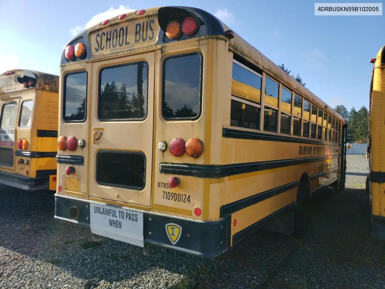 2009 Ic Corporation 3000 Ce - School Bus VIN: 4DRBUSKN59B102005 Lot: 87116925