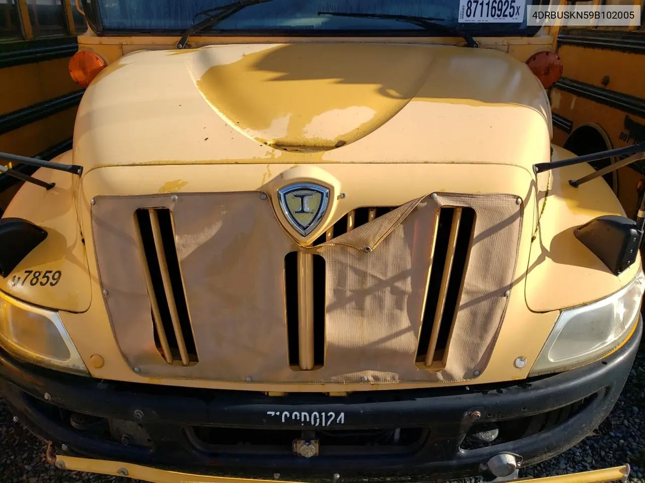 2009 Ic Corporation 3000 Ce - School Bus VIN: 4DRBUSKN59B102005 Lot: 87116925