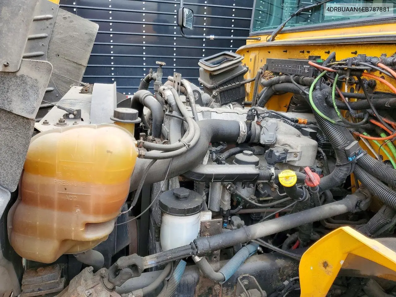 2014 Ic Corporation Ce Series School - School Bus VIN: 4DRBUAAN6EB787881 Lot: 47016436