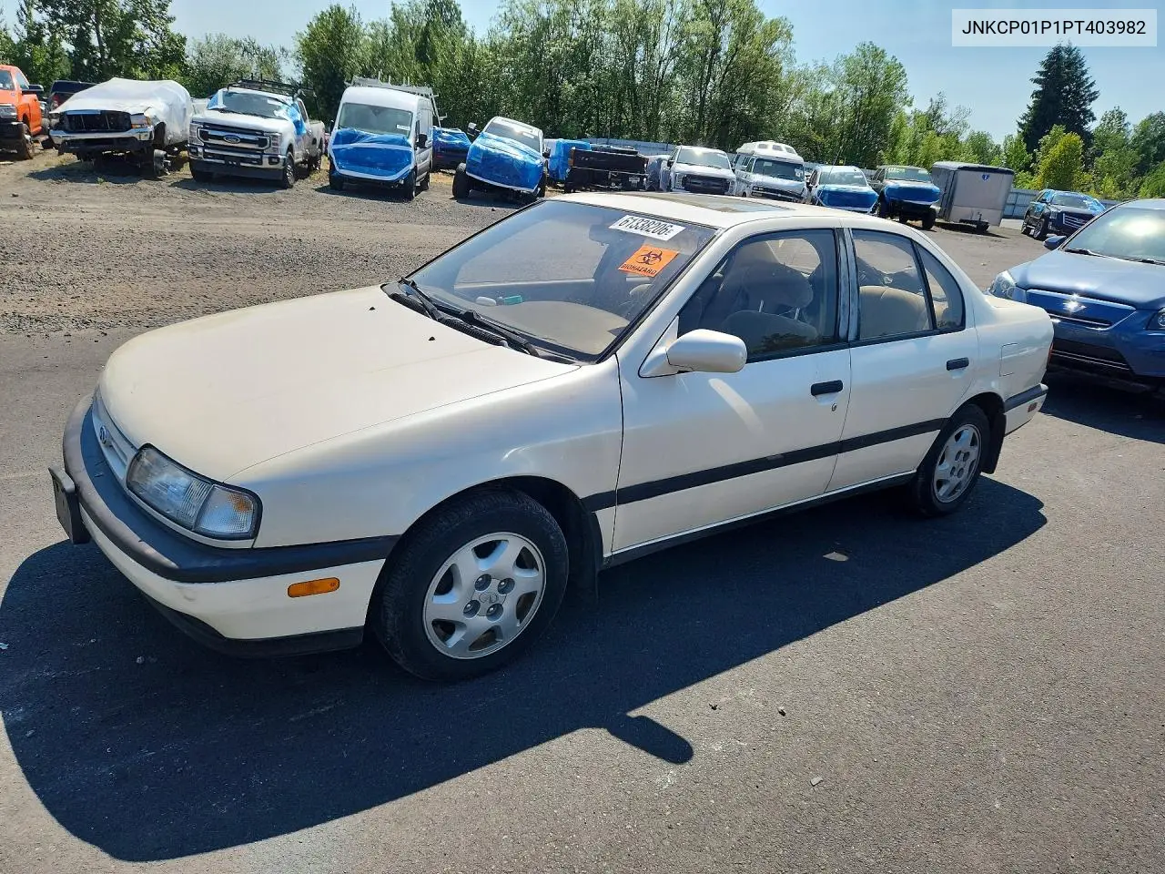 1993 Infiniti G20 Base VIN: JNKCP01P1PT403982 Lot: 61338206