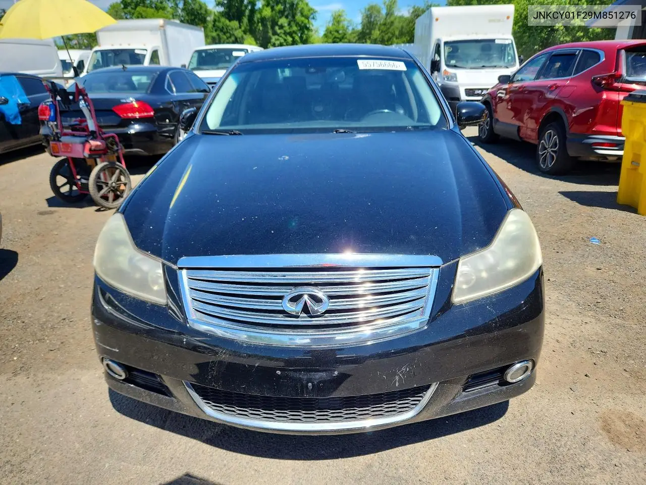 2009 Infiniti M35 X VIN: JNKCY01F29M851276 Lot: 55756666