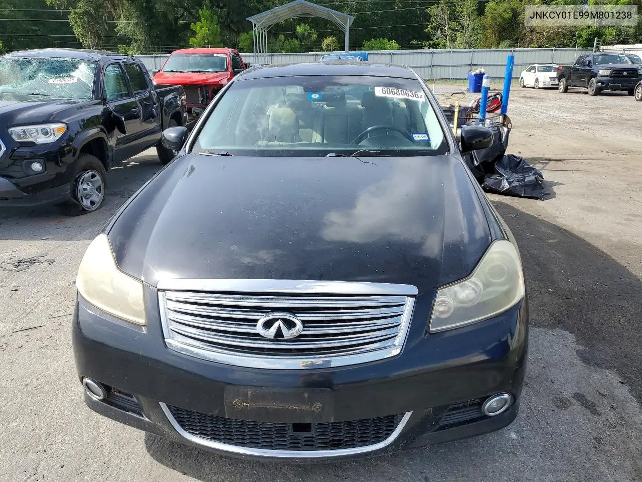 2009 Infiniti M35 Base VIN: JNKCY01E99M801238 Lot: 60680636