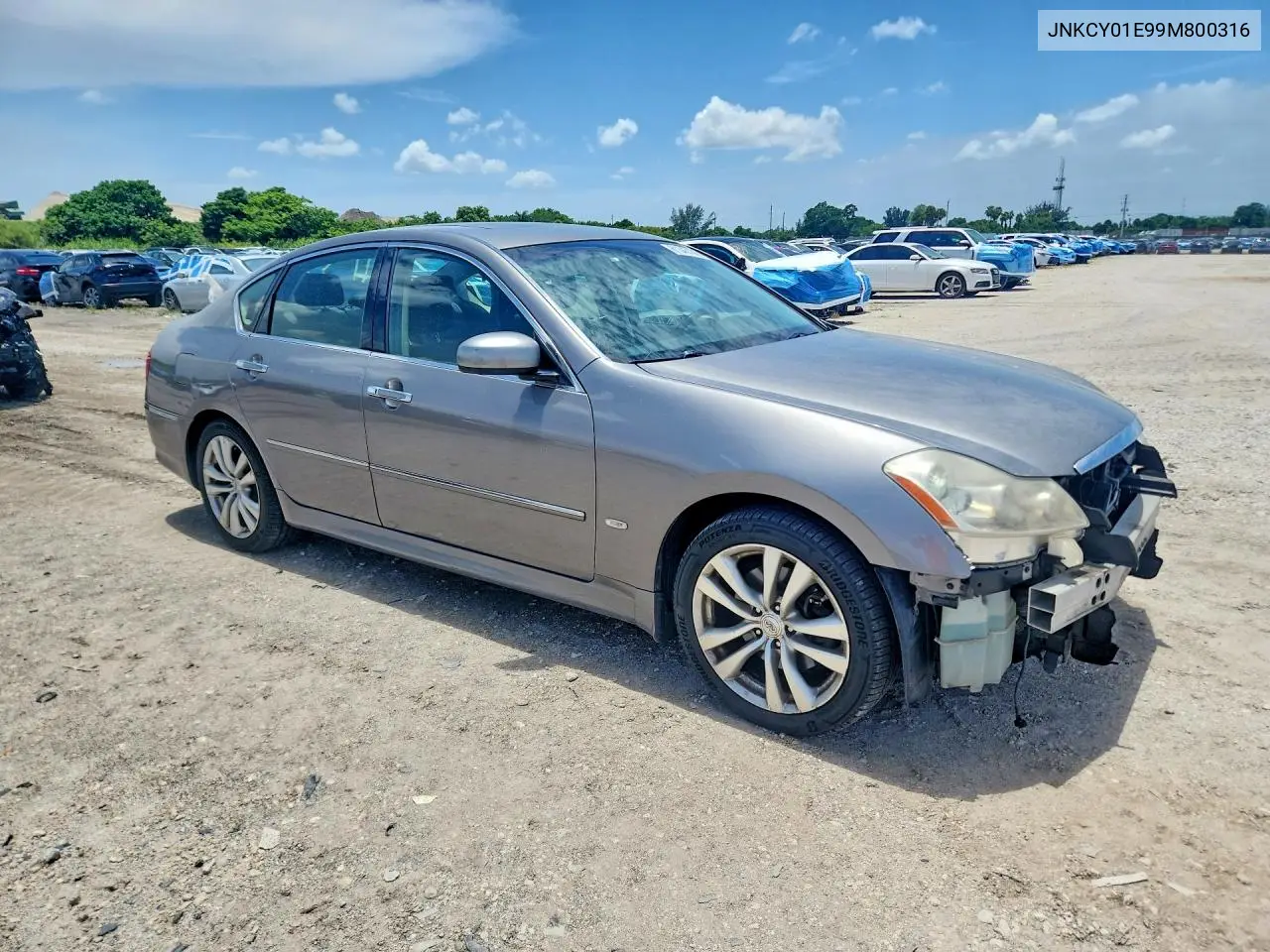 2009 Infiniti M35 Base VIN: JNKCY01E99M800316 Lot: 61343186