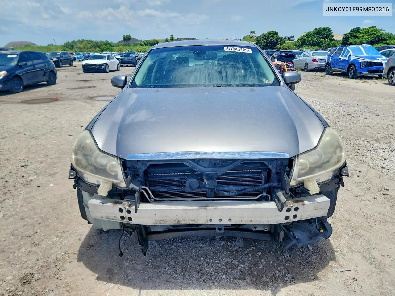 2009 Infiniti M35 Base VIN: JNKCY01E99M800316 Lot: 61343186