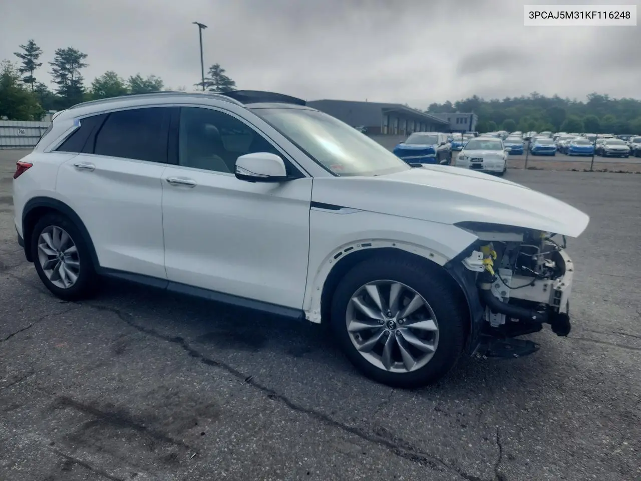 2019 Infiniti Qx50 Essential VIN: 3PCAJ5M31KF116248 Lot: 56943306