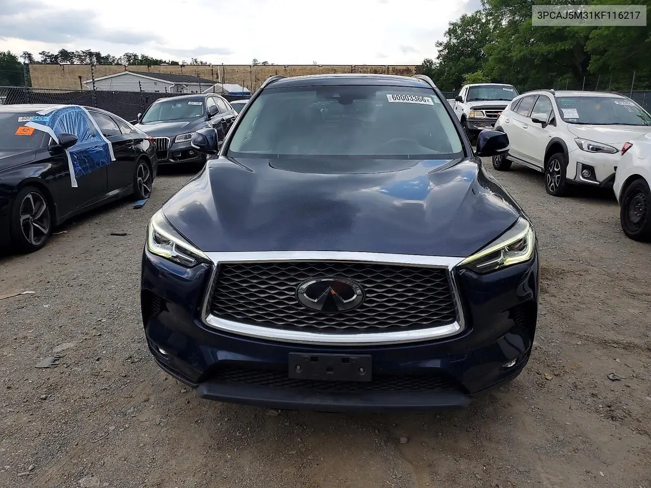 2019 Infiniti Qx50 Luxe VIN: 3PCAJ5M31KF116217 Lot: 60003366