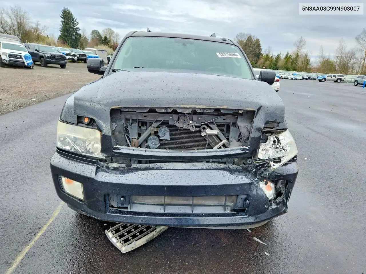 2009 Infiniti Qx56 VIN: 5N3AA08C99N903007 Lot: 48315696