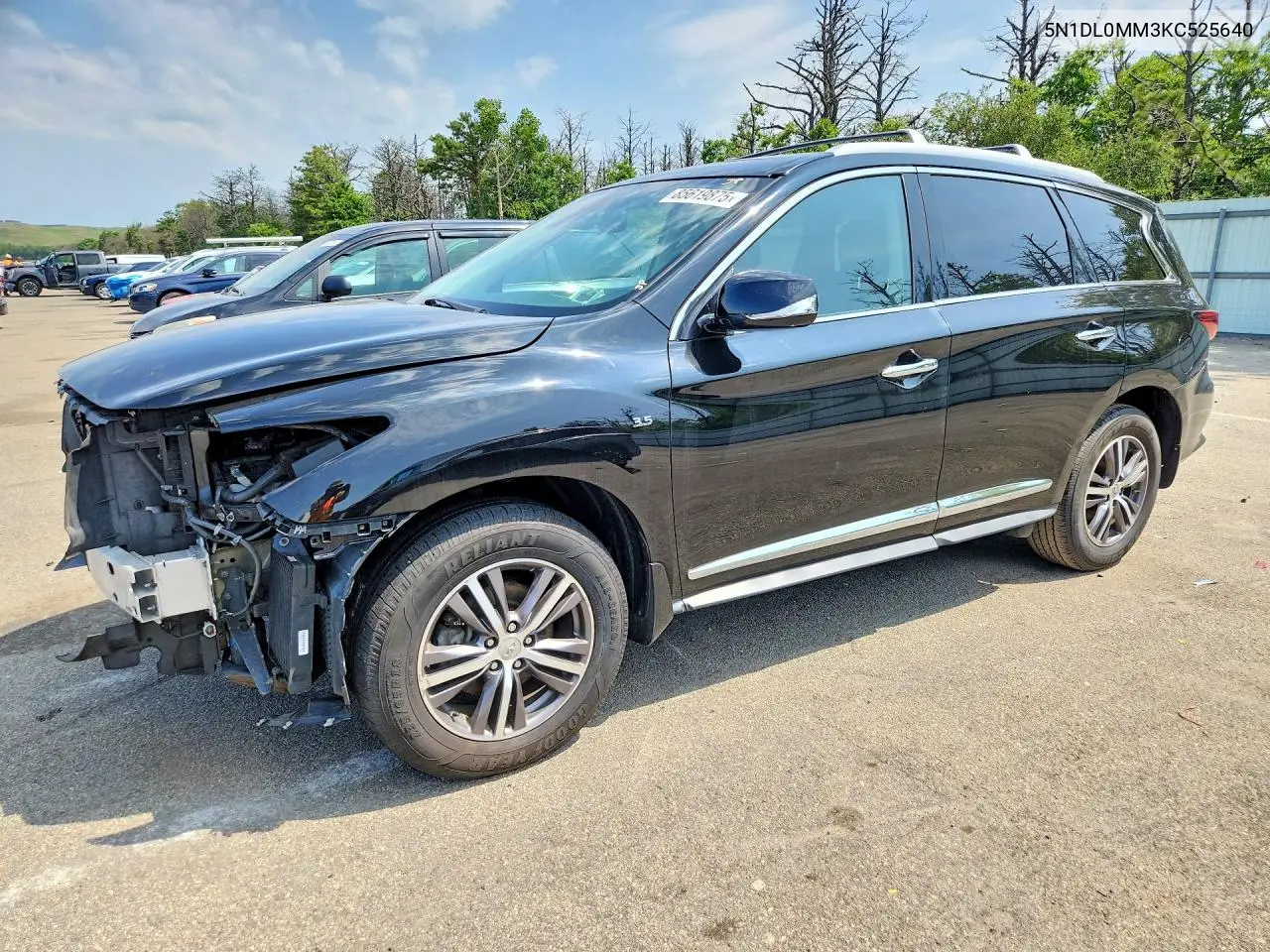 2019 Infiniti Qx60 Pure VIN: 5N1DL0MM3KC525640 Lot: 85619875