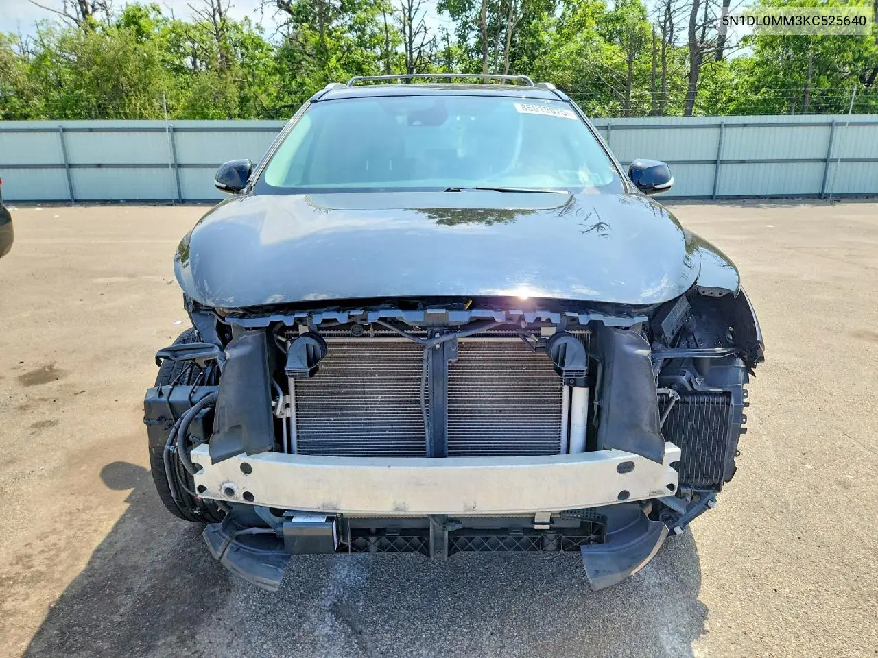 2019 Infiniti Qx60 Pure VIN: 5N1DL0MM3KC525640 Lot: 85619875