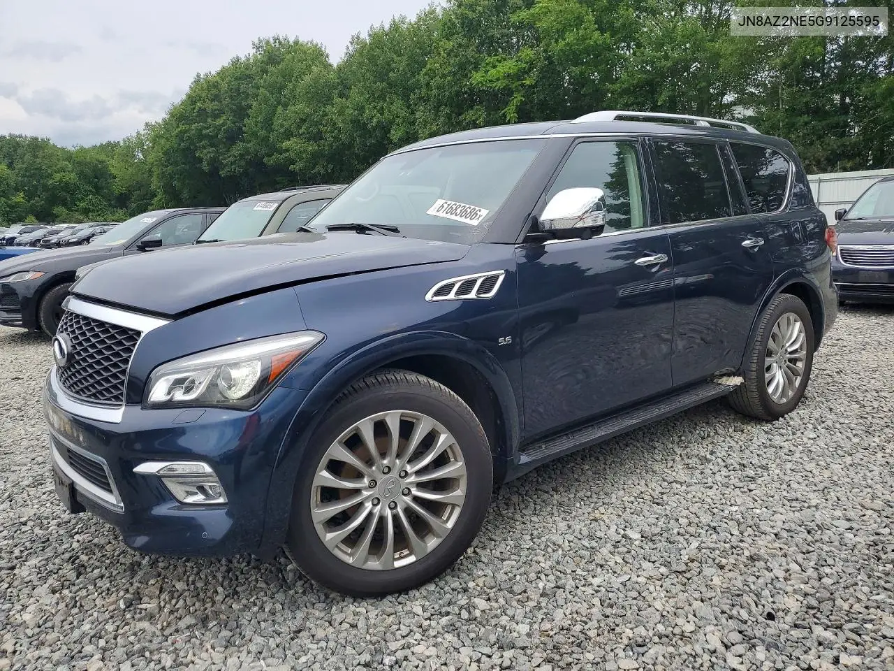 2016 Infiniti Qx80 Base VIN: JN8AZ2NE5G9125595 Lot: 61683686