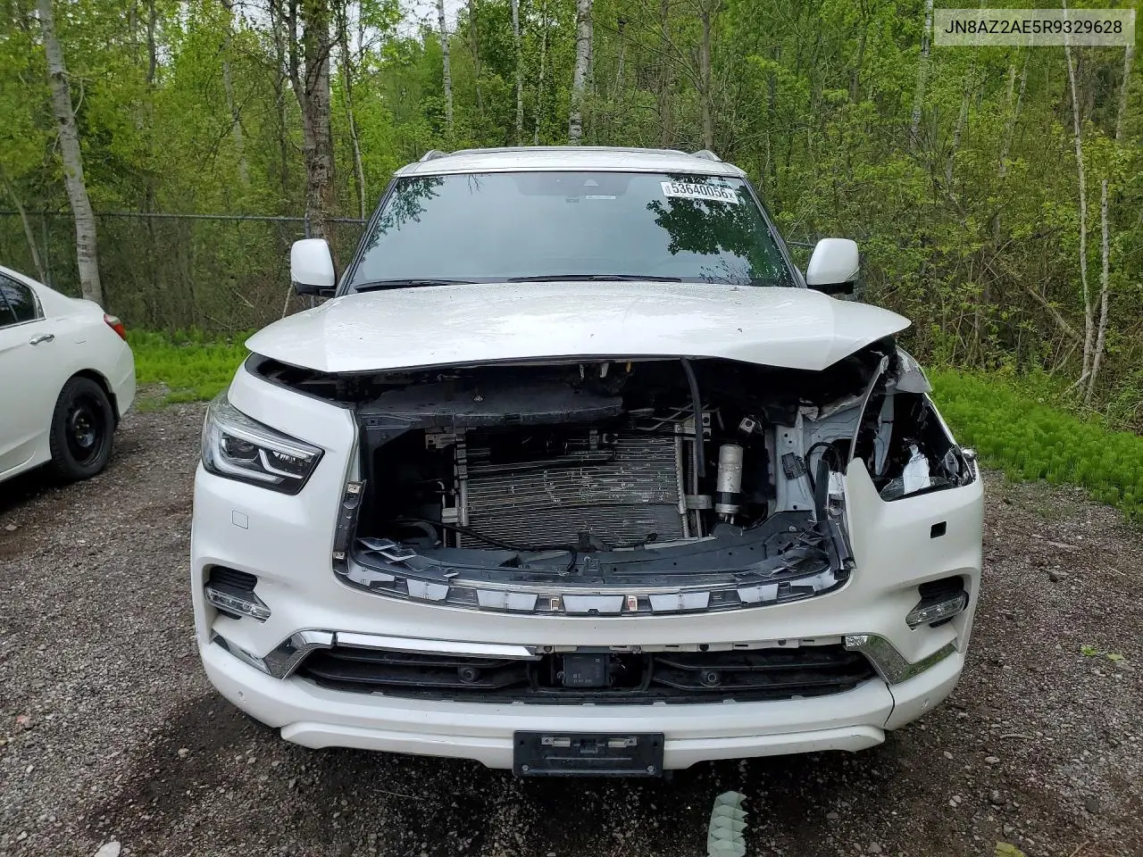 2024 Infiniti Qx80 Luxe VIN: JN8AZ2AE5R9329628 Lot: 53640056