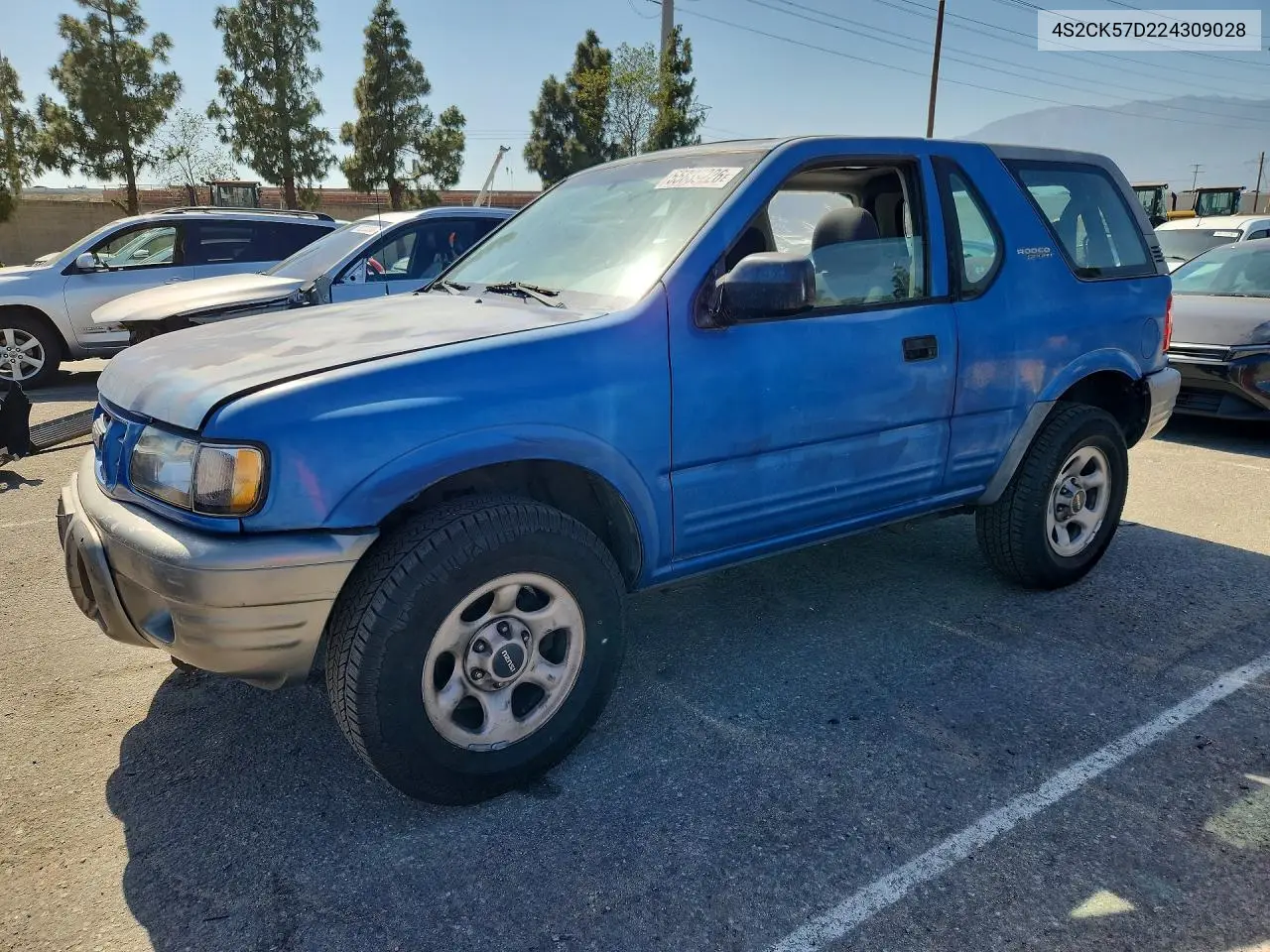2002 Isuzu Rodeo Sport VIN: 4S2CK57D224309028 Lot: 55839226