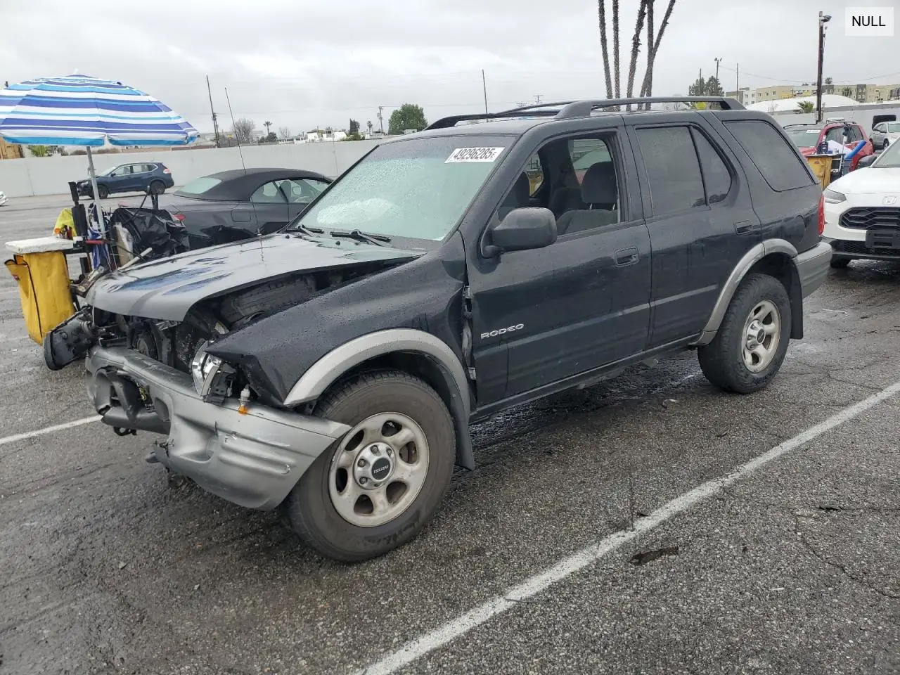 2002 Isuzu Rodeo VIN: 4S2DM58W424304881 Lot: 49296285