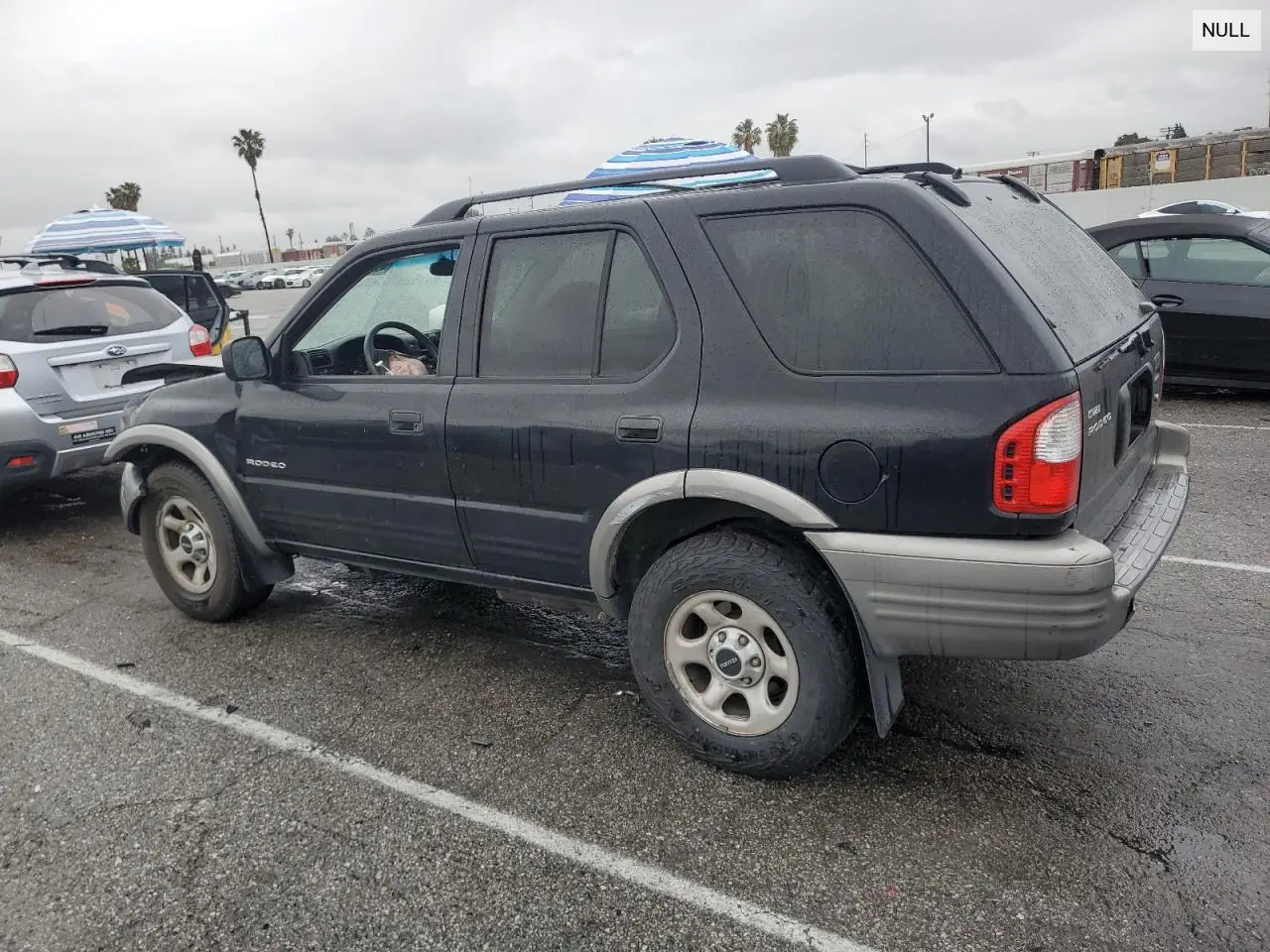 2002 Isuzu Rodeo VIN: 4S2DM58W424304881 Lot: 49296285