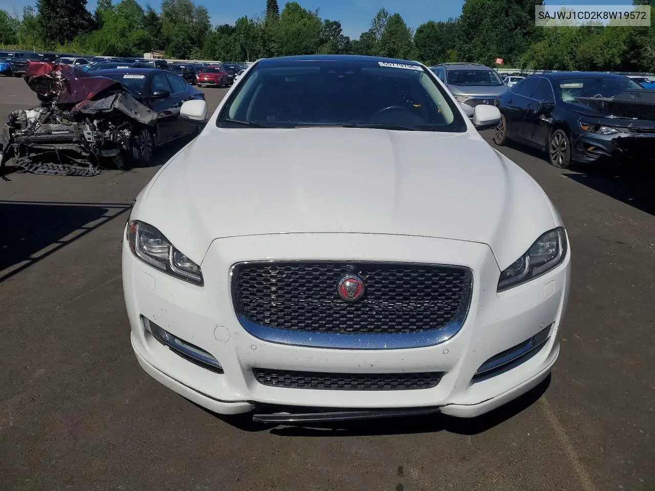 2019 Jaguar Xj R - Sport VIN: SAJWJ1CD2K8W19572 Lot: 55779796