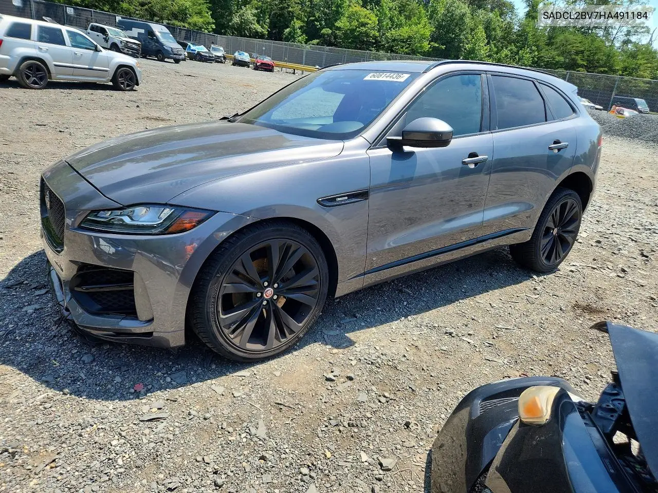 2017 Jaguar F-Pace R - Sport VIN: SADCL2BV7HA491184 Lot: 60814436