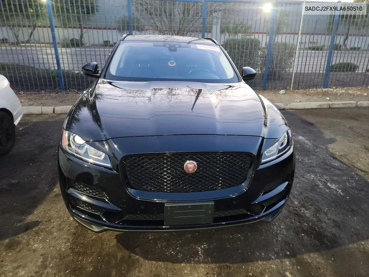 2020 Jaguar F-Pace Premium VIN: SADCJ2FX9LA650510 Lot: 61641606
