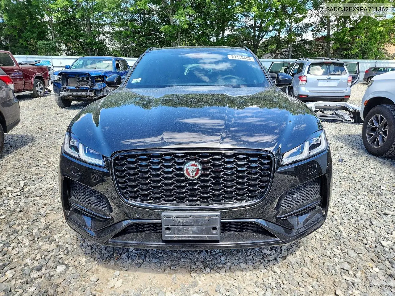 2023 Jaguar F-Pace S VIN: SADCJ2EX9PA711362 Lot: 57156486