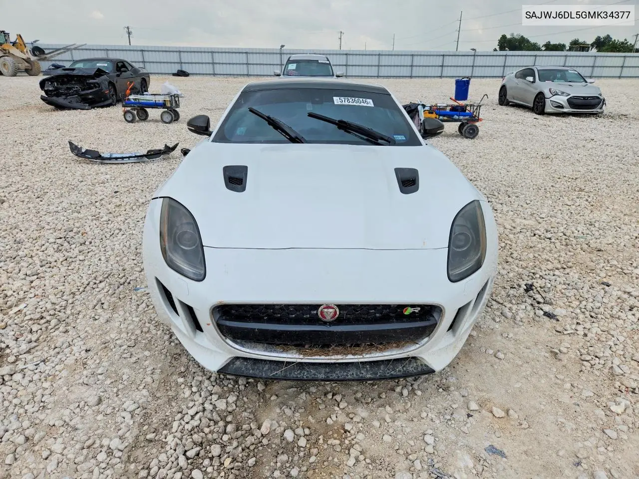 F-Type