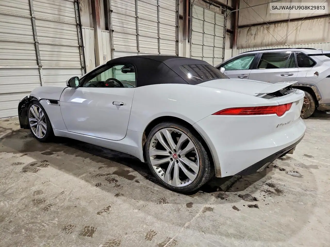 F-Type